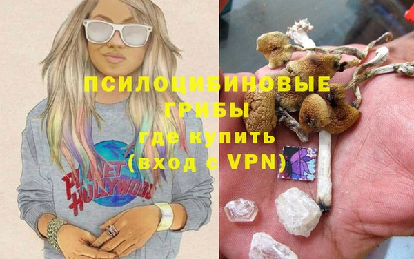спайс Бердск