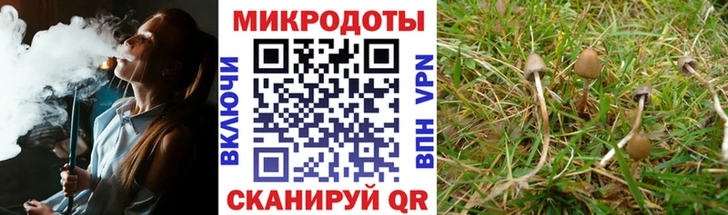 Псилоцибиновые грибы прущие грибы Талдом